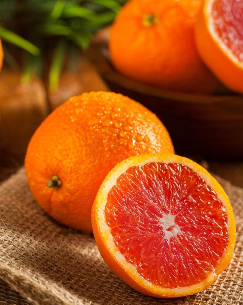 'Citrus' Cara Cara Patio Orange Tree